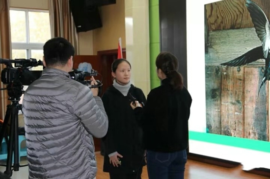 爱鸟护鸟我们在行动活动走进伊河路小学