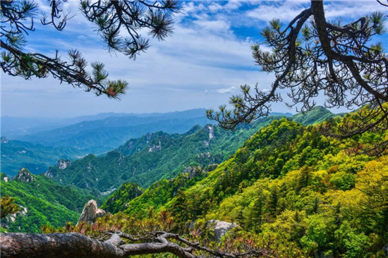 千车万人尧山来撒欢，网红音乐节声动中原！