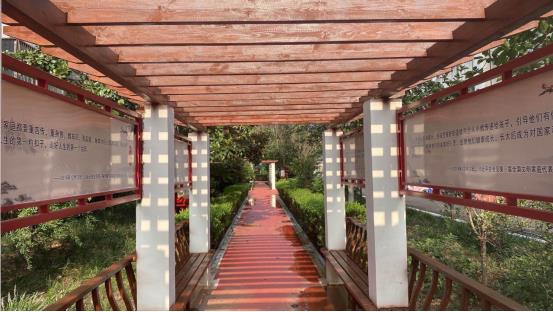 鹤壁市淇滨区泰山路街道：打造“红色美丽楼院”，美了家园润了心田